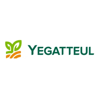 YEGATTEUL.jpg