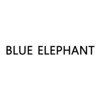 BLUE ELEPHANT.jpg